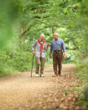 Wandelen voor dementie