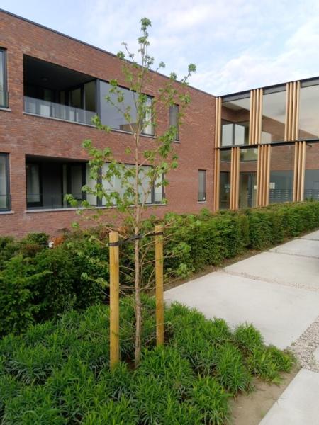 Assistentiewoning Heerlijkheid - Zorgbedrijf Vlaanderen